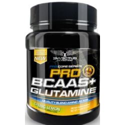 InvictusNutrition - BCAA+Glutamine 500gr.